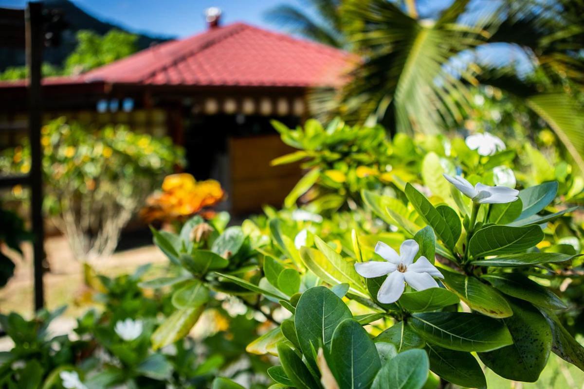 Raiatea Sur Mer Opoa Luaran gambar