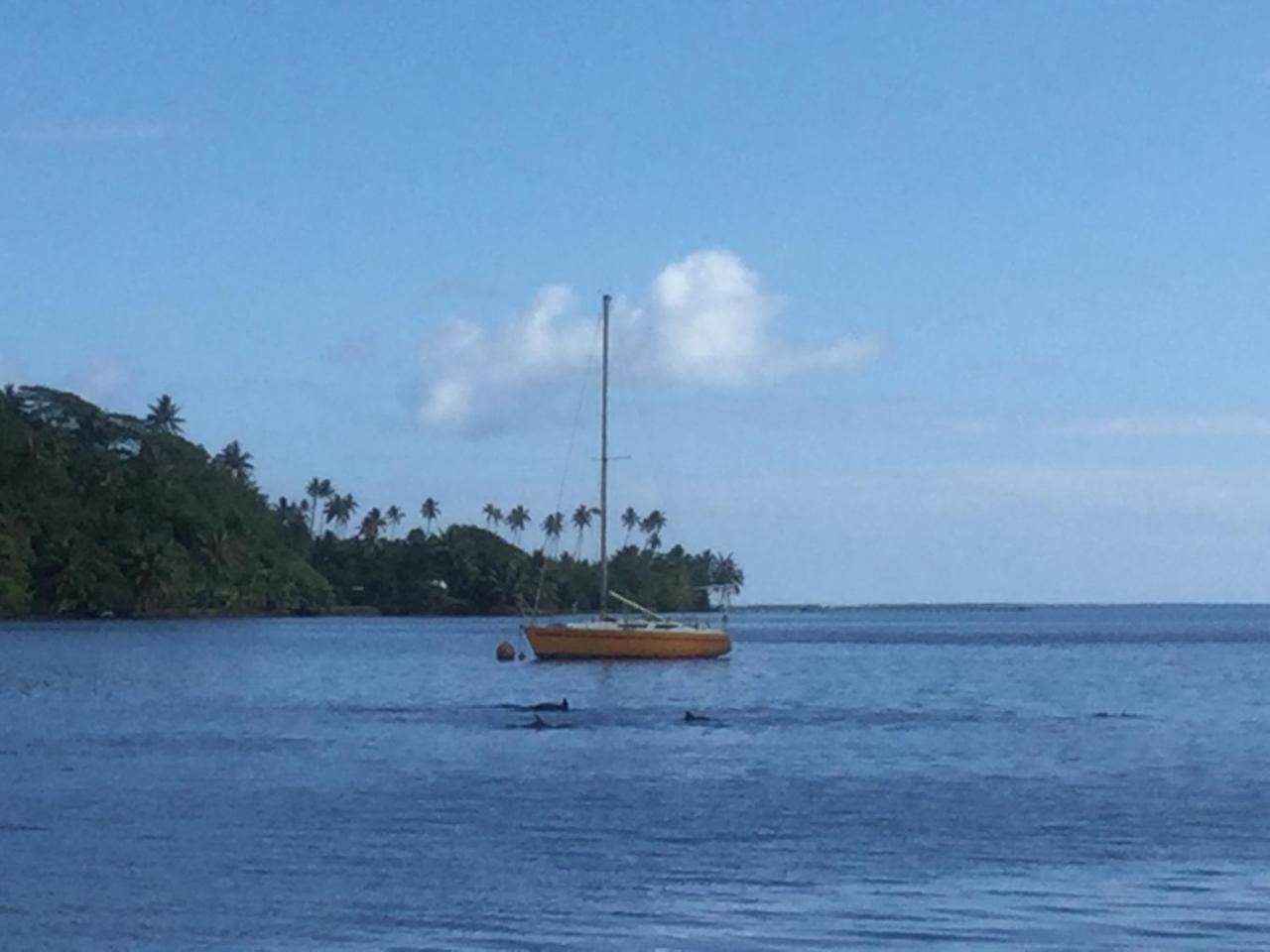 Raiatea Sur Mer Opoa Luaran gambar