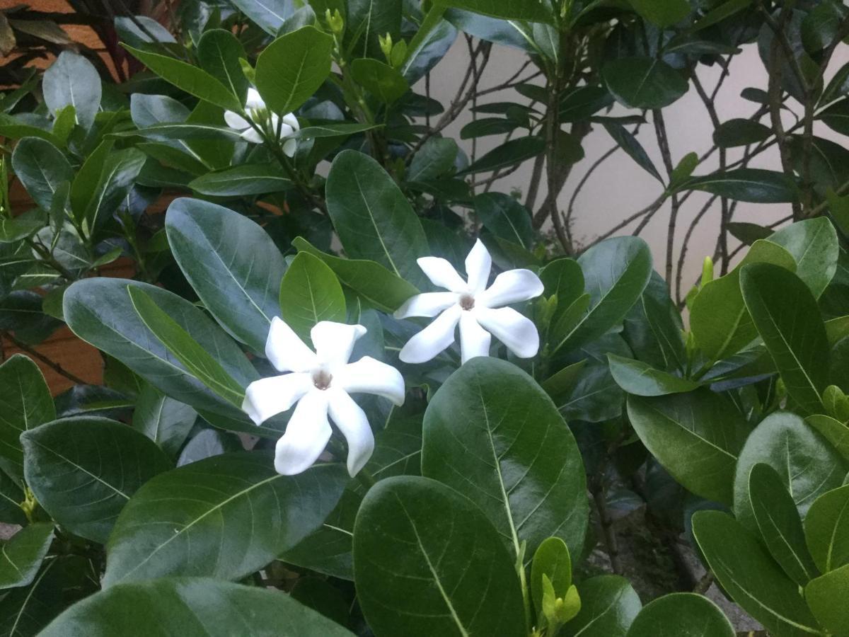 Raiatea Sur Mer Opoa Luaran gambar